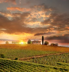 Zelfklevend Fotobehang Chianti-wijngaardlandschap in Toscane, Italië © Tomas Marek