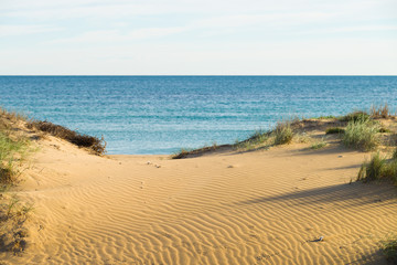 Beach dunes