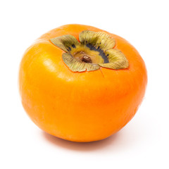 single persimmon