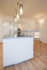 Fototapeta na wymiar Stylish flat - Kitchen interior