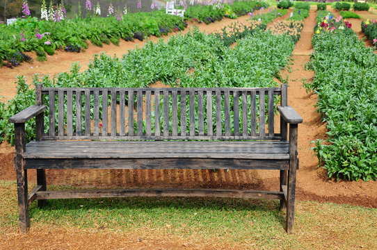 Wooden bench on garden