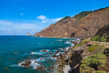 Coast in Tenerife island - Canary Spain