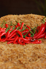 Chili paste on the rice
