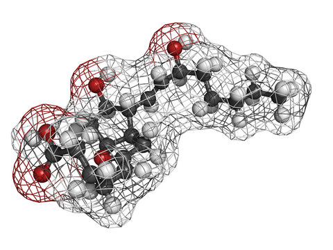 Prostaglandin I2 (PGI2, epoprostenol) pulmonary hypertension dru