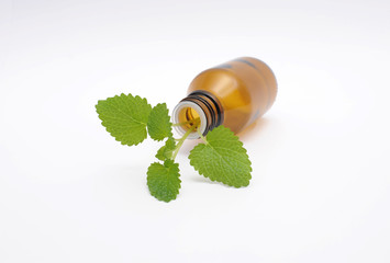 Sanfte Medizin 2