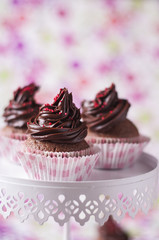 Chocolate cupcakes