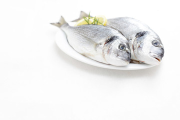 fresh dorada