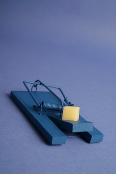 Blaue Mausefalle mit Kaesestueck auf blauem Untergrund