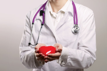 Male doctor with stethoscope holding heart on grey  background.