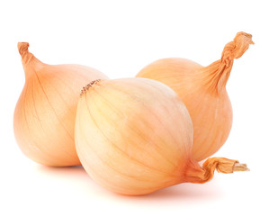 Onion vegetable bulbs