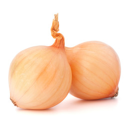 Onion vegetable bulbs