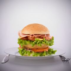Fast food big sandwich  on plate