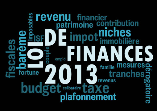 Loi de Finances 2013 bleu