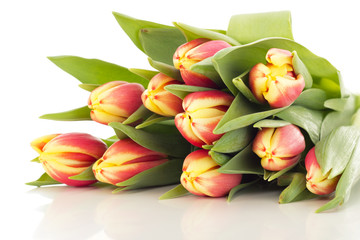 Bunch of tulips