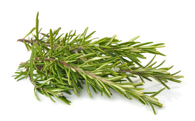Fresh rosemary isolated on white background