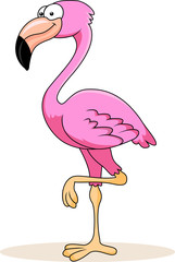 Flamingo cartoon