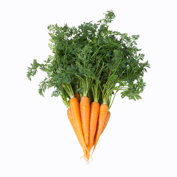 Bund Karotten