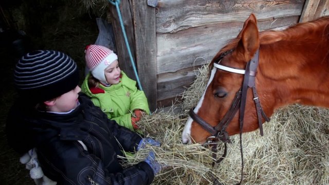 Two kids boy and girl feed horse