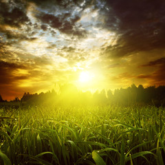 Obraz na płótnie Canvas Dramatyczna słońca i zielone pola trawy.