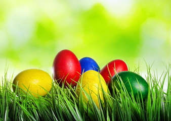 Easter eggs on green grass