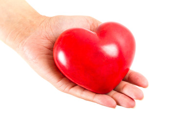 Heart in hands as love and health symbol