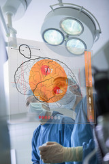 Fototapeta na wymiar Dwóch lekarzy patrząc na mózg na interfejsie