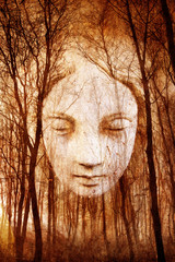 Haunted Forest © Heartland Arts