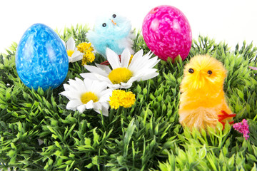 Osterwiese mit Küken