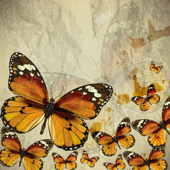 Colorful vintage background with butterfly. Grunge paper texture