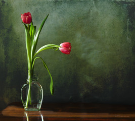 two tulips in glass vase