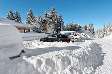 Fototapeta na wymiar Samochodów zakopane w śniegu