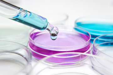 Pipette with drop of color liquid and petri dishes