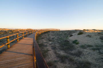 Arenales dunes