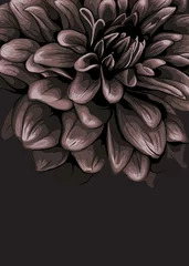 Crédence de cuisine en verre imprimé Fleurs noir et blanc Modèle de design floral élégant