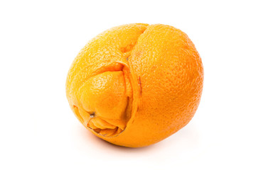 Crazy sexy orange
