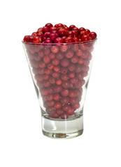 Cowberries.