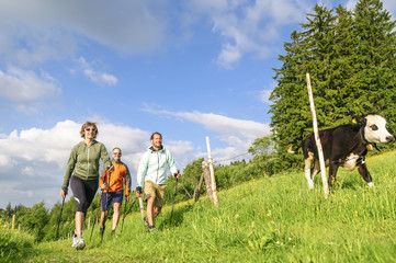 gemeinsame Walking-Tour