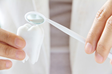 dentist holding molar,dental concept