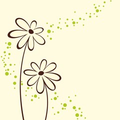 Cute bouquet of flowers. Floral background.