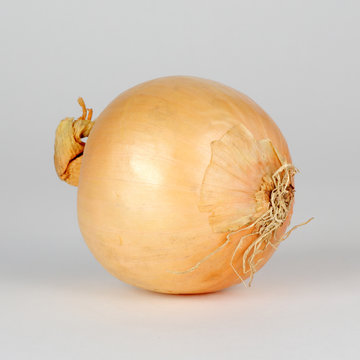 Oignon