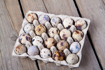 Quail eggs in the packing