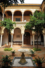 Fototapeta na wymiar Dom Pinelo, renesansowy pałac, Sewilla