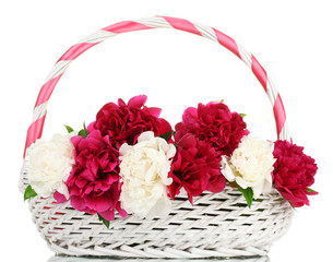 Fototapeta na wymiar piękne różowe i białe piwonie w koszyku z kokardą samodzielnie