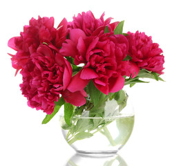 beautiful pink peonies in glass vase isolated on white