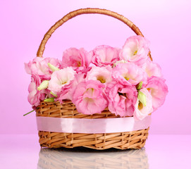 Fototapeta na wymiar bukiet kwiatów w koszyku eustoma, na różowym tle