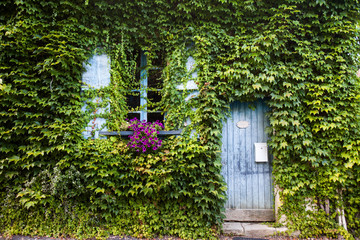 Fototapeta na wymiar French rural house covered in leaves