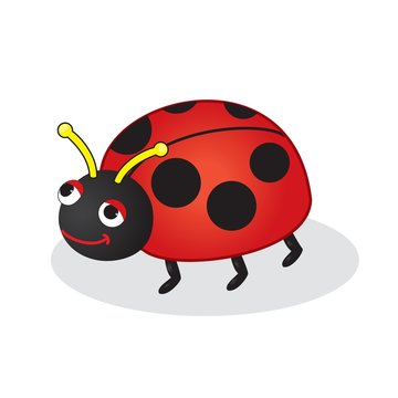 Bug toy vector illustration. Isolated on white.