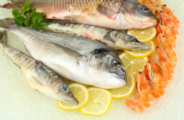 Fresh seafood on ice