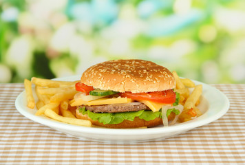 Tasty cheeseburger with fried potatoes, on bright background
