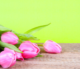 Rosa Tulpen auf Holz
